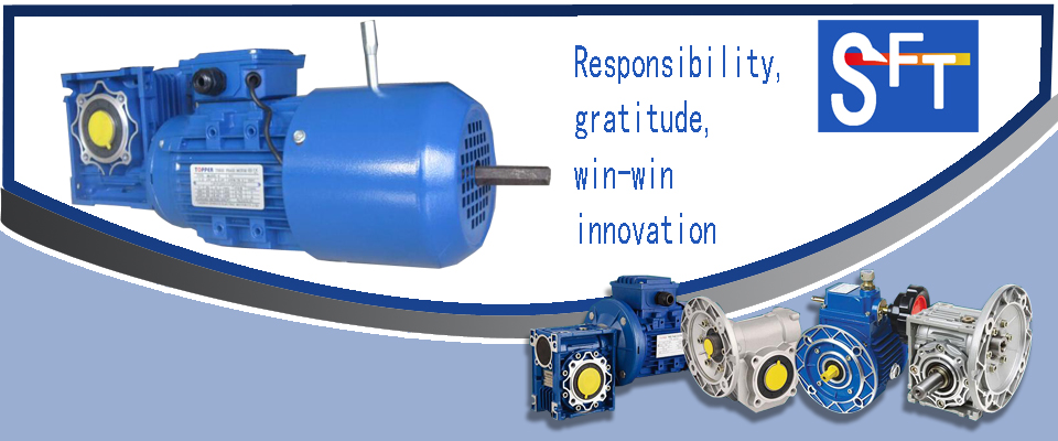 SFT快速門電機(jī)批發(fā)